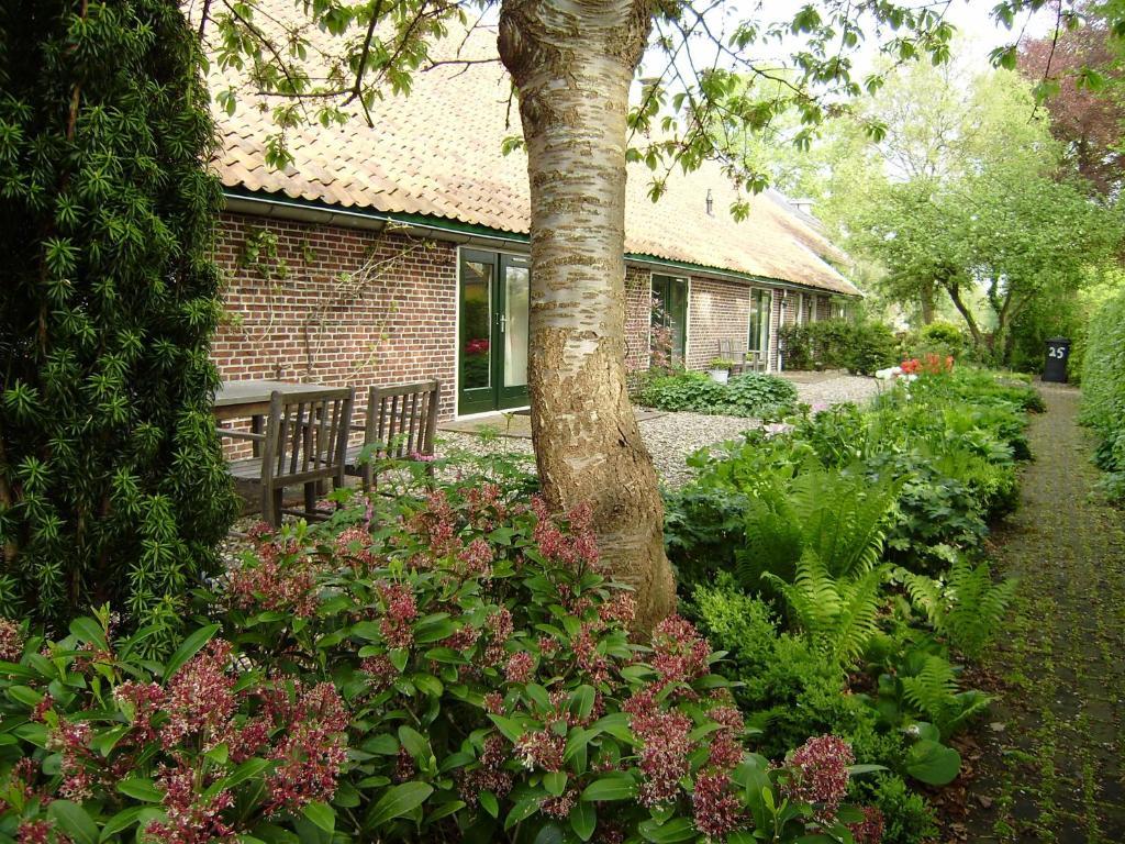 Bed & Breakfast Uiterburen Zuidbroek Exteriér fotografie