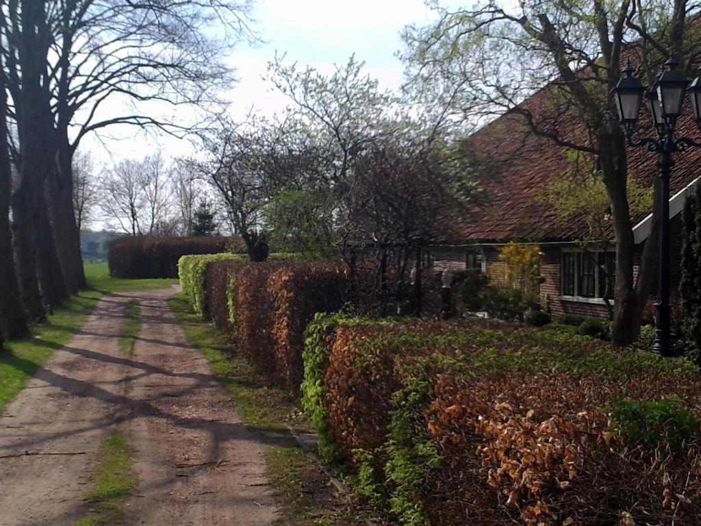 Bed & Breakfast Uiterburen Zuidbroek Exteriér fotografie
